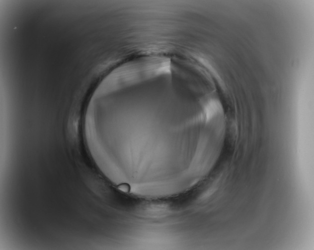 X0000088190491200705292015