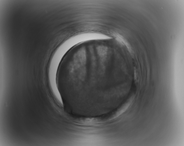 X0000088190493200705292015