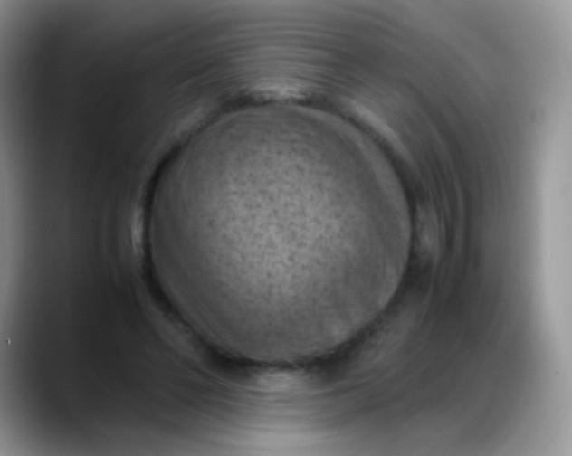 X0000088190494200705292015