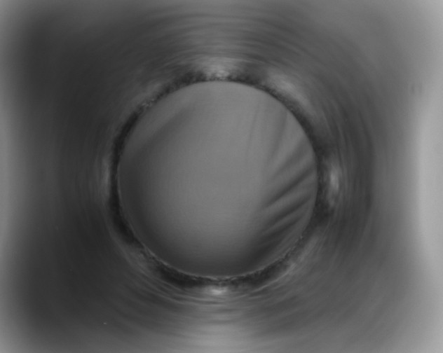 X0000088190496200705292015