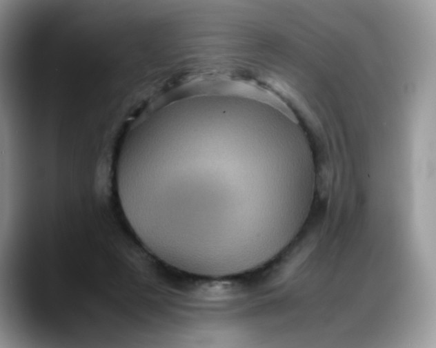 X0000088190497200705292015