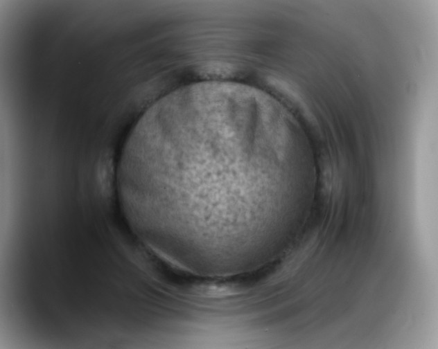 X0000088190498200705292015