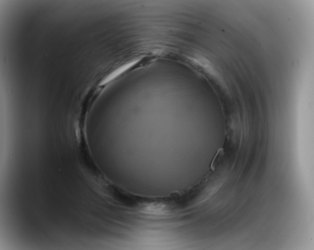 X0000088190500200705292015