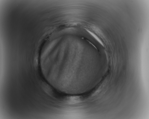 X0000088190501200705292015