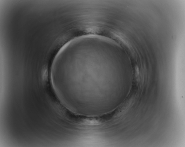 X0000088190502200705292015