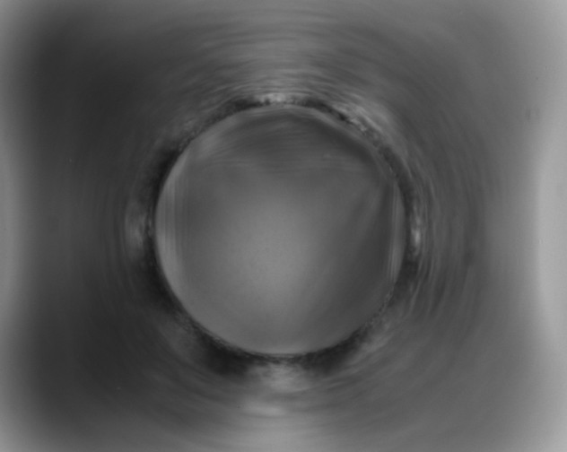 X0000088190503200705292015