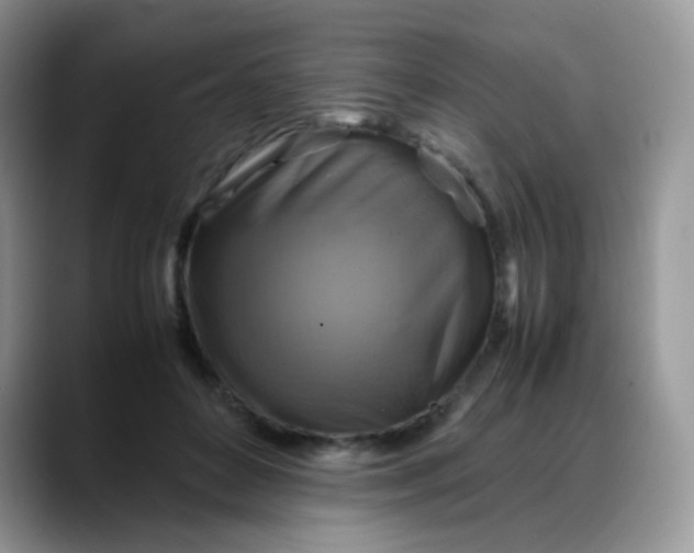 X0000088190504200705292015