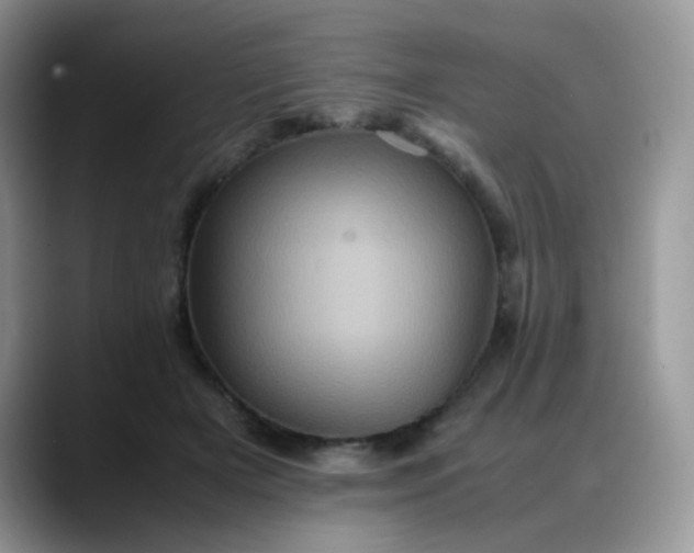 X0000088190505200705292015