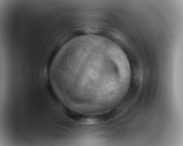 X0000088190506200705292015