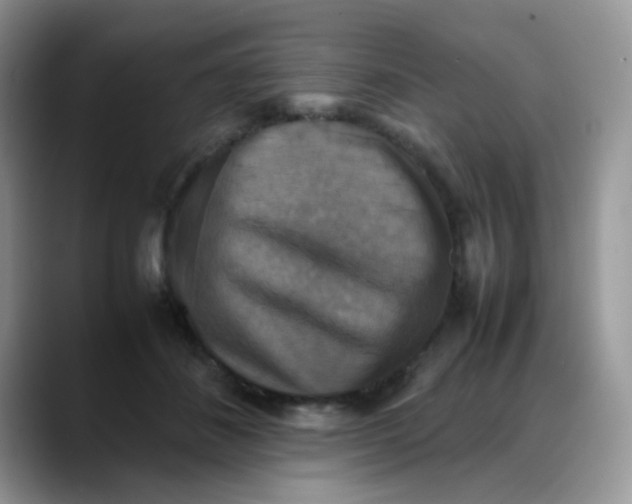 X0000088190508200705292015