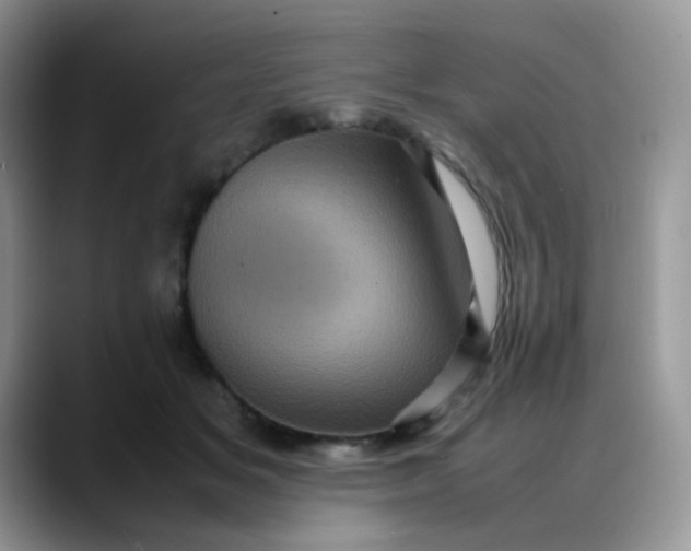 X0000088190509200705292015