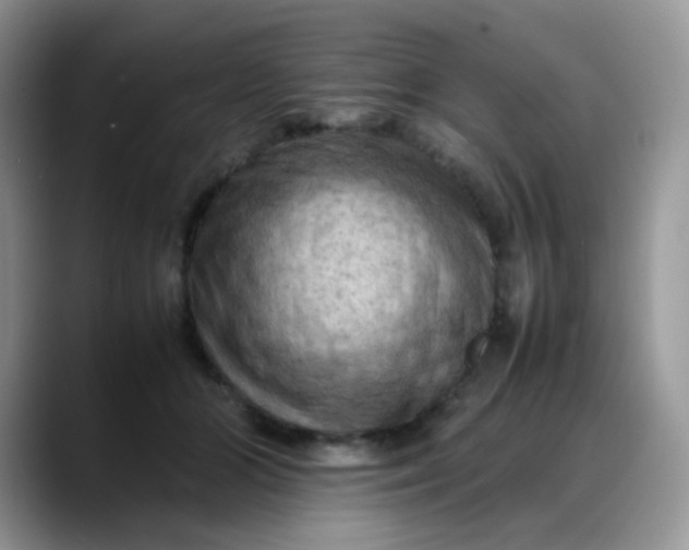 X0000088190510200705292015
