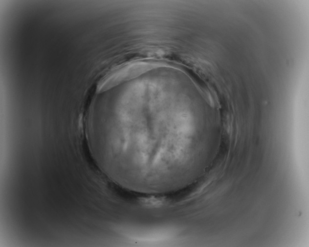 X0000088190511200705292015