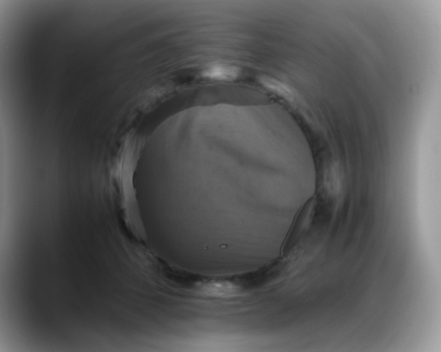 X0000088190512200705292015