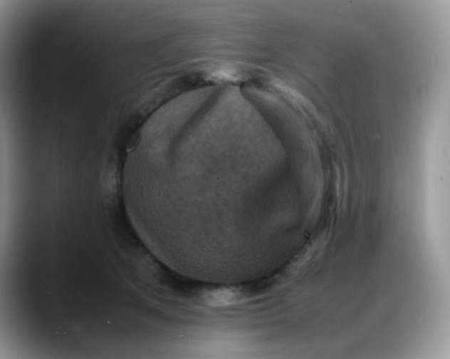 X0000088190513200705292015