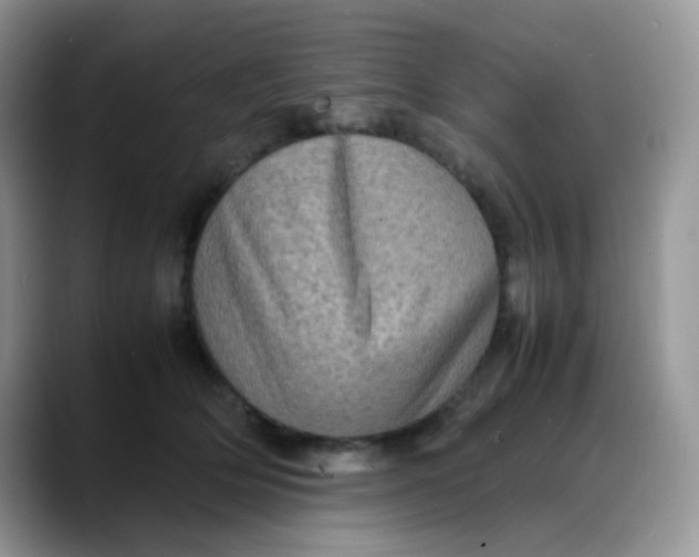 X0000088190514200705292015