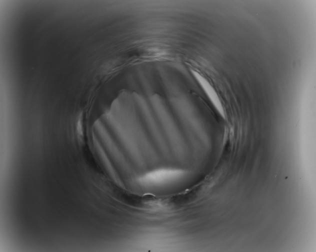 X0000088190516200705292015