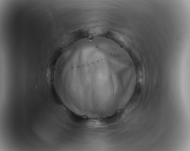 X0000088190519200705292015