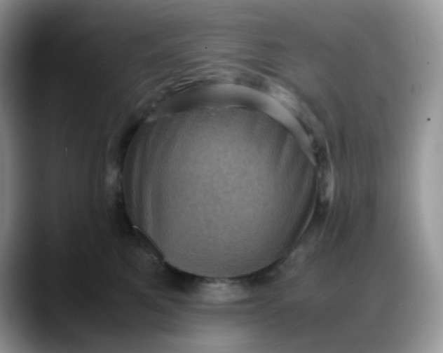X0000088190521200705292015