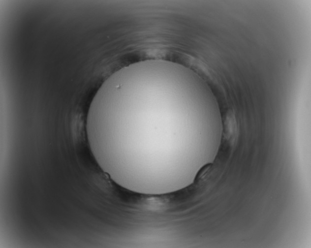 X0000088190522200705292015