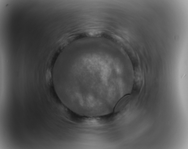 X0000088190523200705292015
