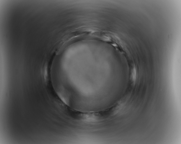 X0000088190524200705292015