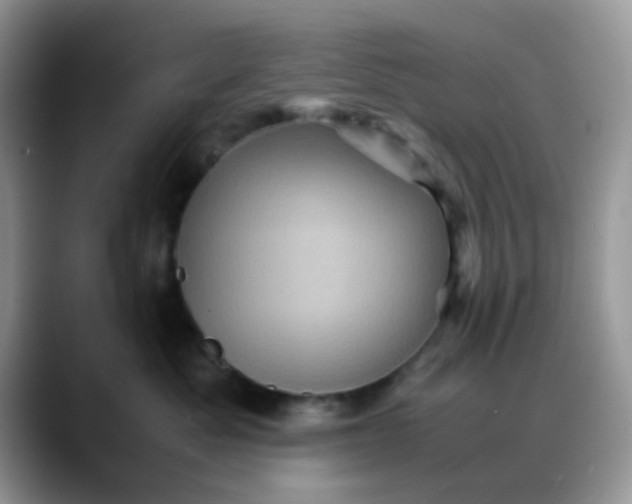 X0000088190525200705292015