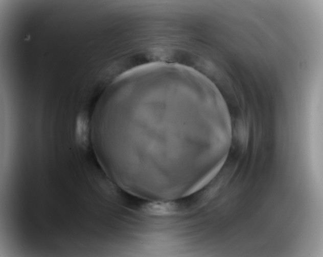X0000088190526200705292015