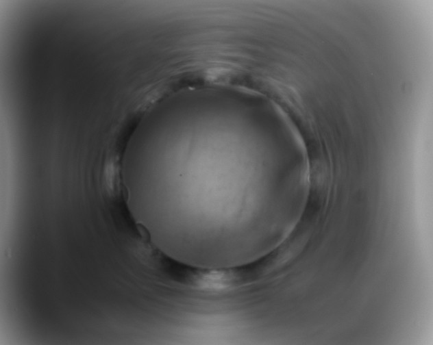 X0000088190527200705292015