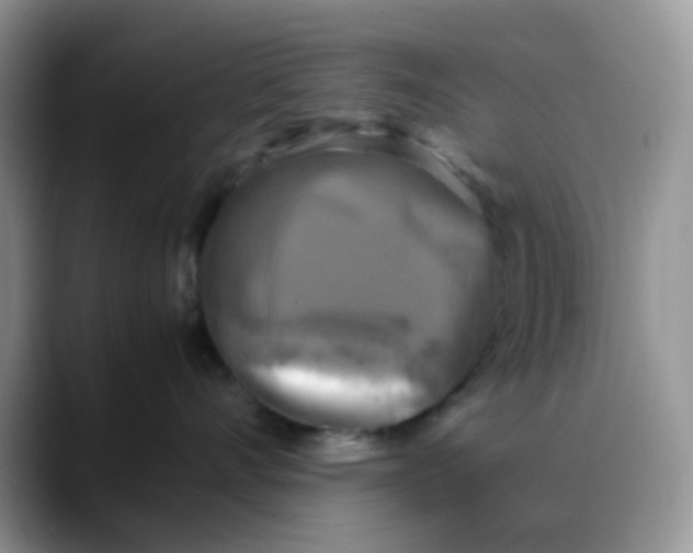 X0000088190528200705292015