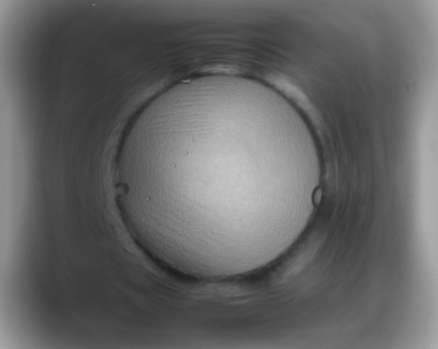 X0000088190529200705292014