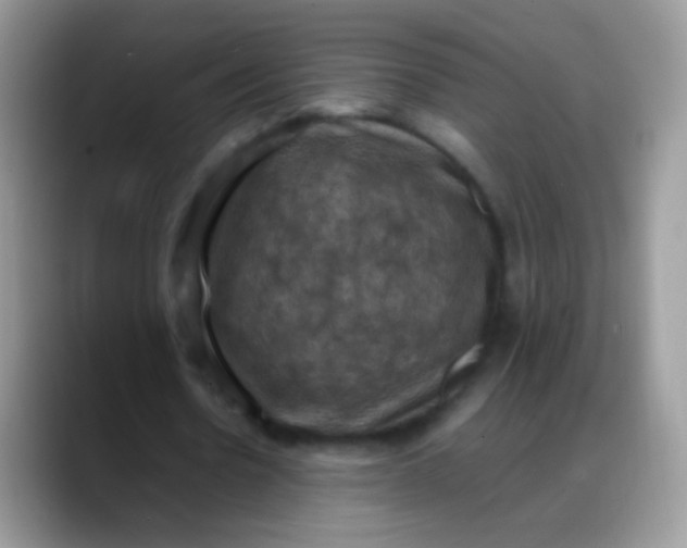 X0000088190530200705292014