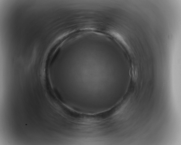 X0000088190531200705292014