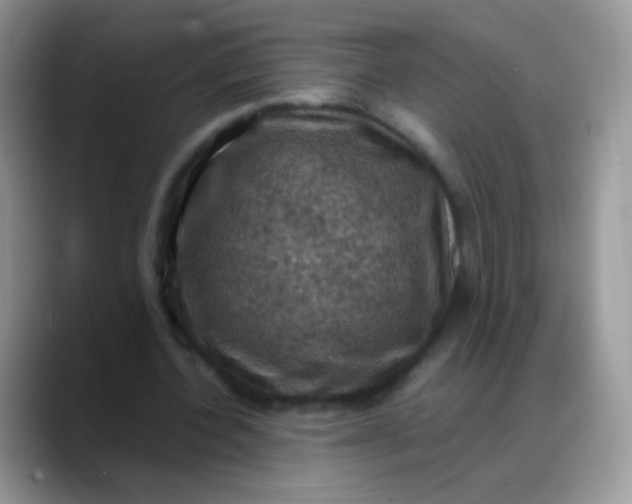 X0000088190532200705292014