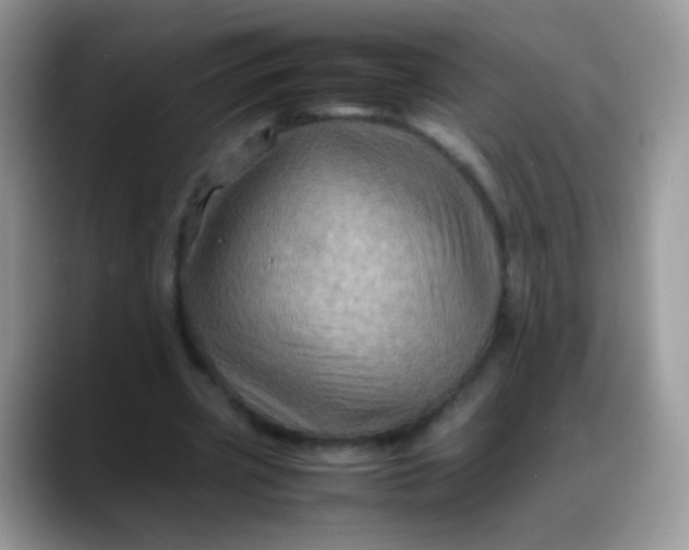 X0000088190533200705292014