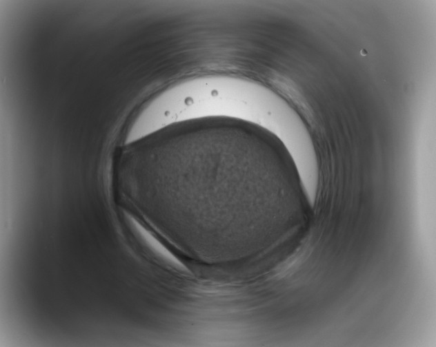 X0000088190534200705292014