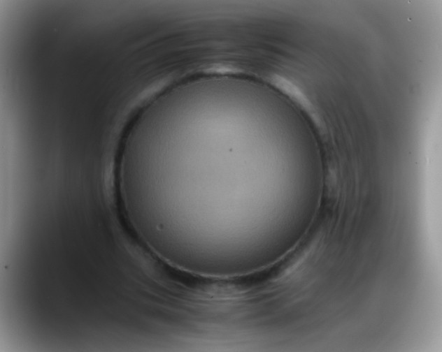 X0000088190535200705292014