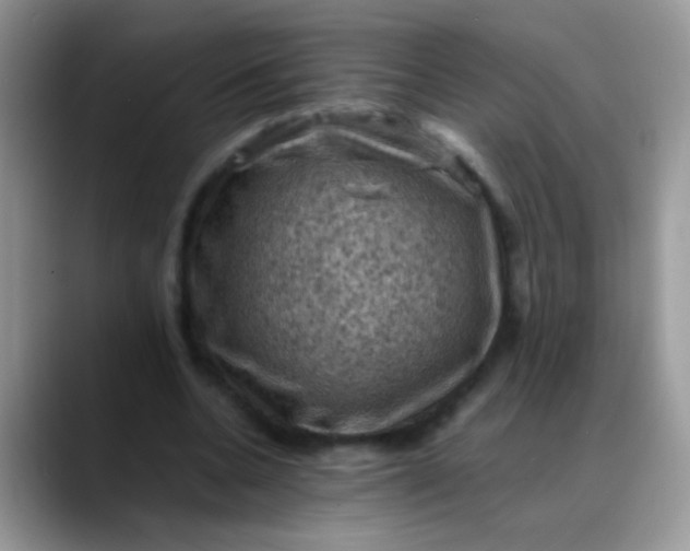 X0000088190536200705292014