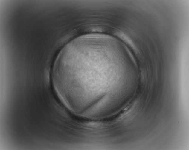 X0000088190537200705292014