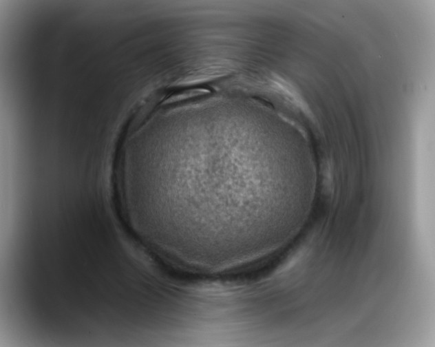 X0000088190538200705292014