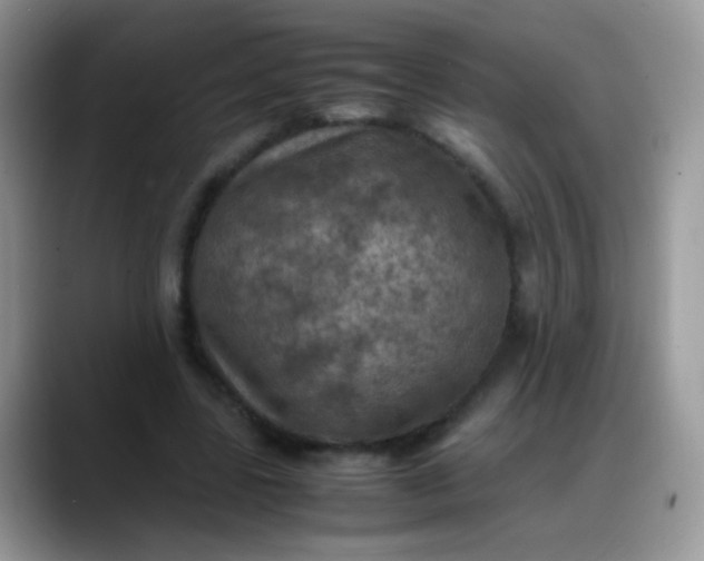 X0000088190539200705292014