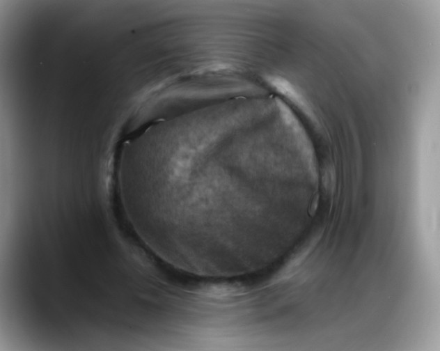 X0000088190540200705292014