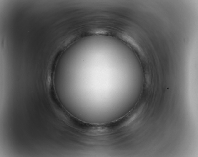 X0000088190541200705292014