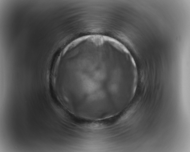 X0000088190542200705292014