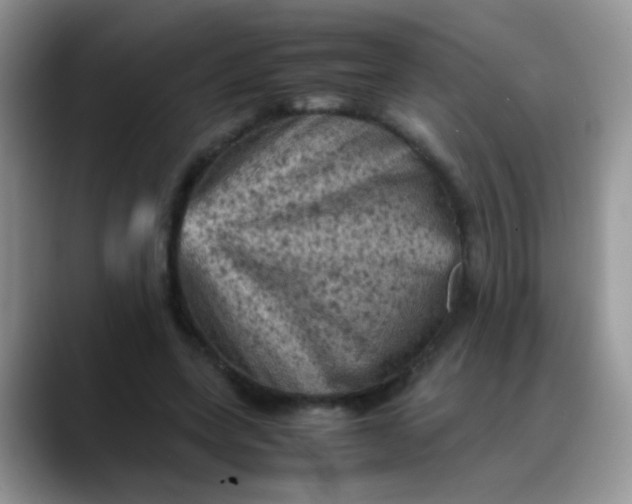 X0000088190543200705292014