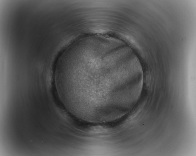 X0000088190544200705292014
