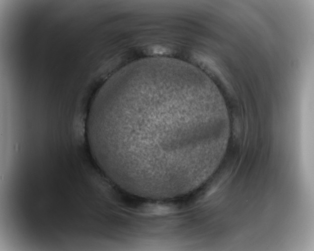 X0000088190545200705292014