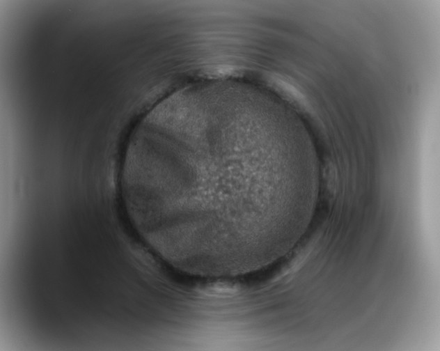 X0000088190546200705292014