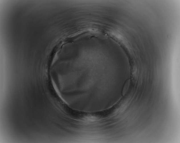 X0000088190547200705292014