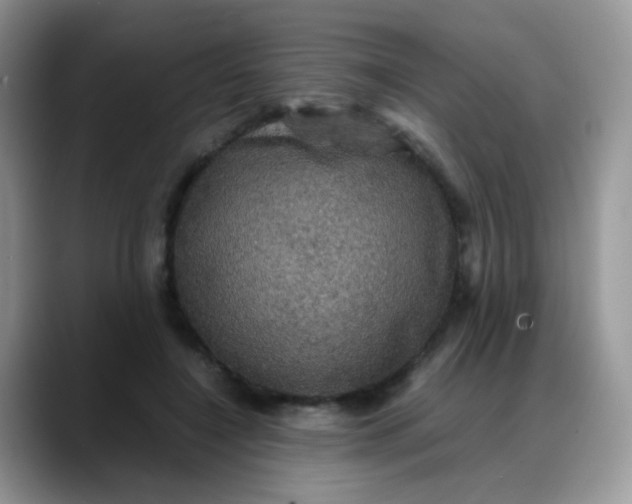 X0000088190548200705292014